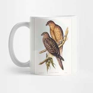 Haliastur Sphenurus Mug